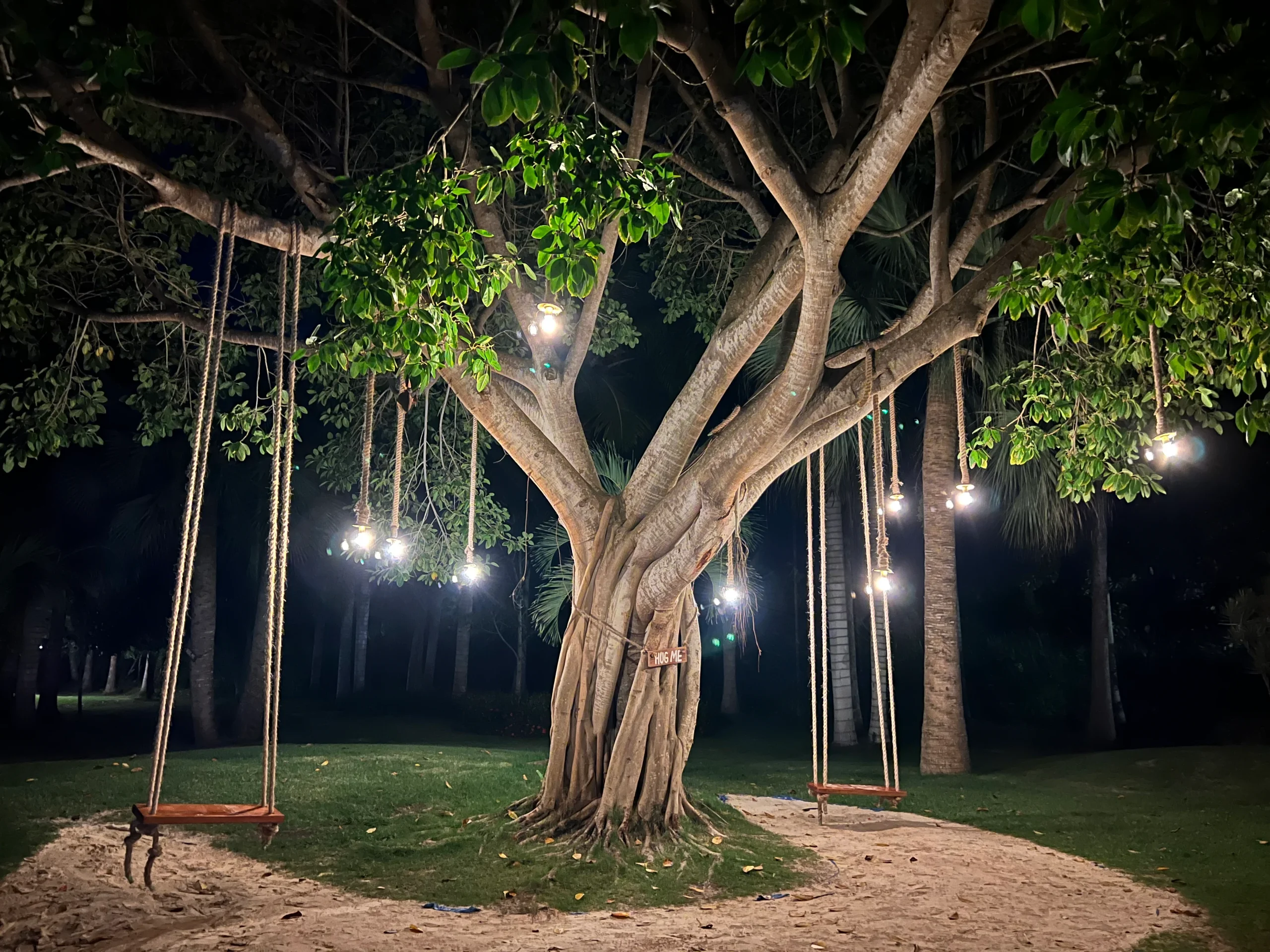 The most beautiful tree swing The most beautiful tree swing